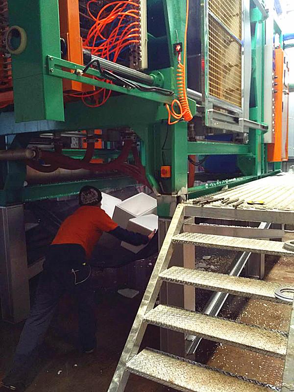 EPS-schuimgroente, fruitdoosproductielijn in Australië EPS Foam Vegetable, Fruit Box Production Line in Australia